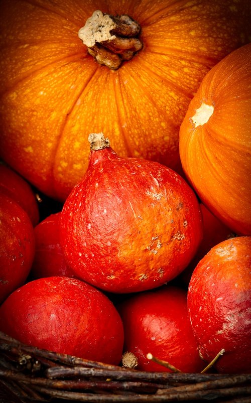 pumpkin  hokkaido  orange