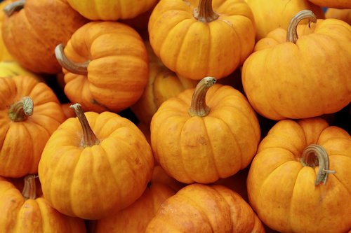 pumpkin  orange  halloween