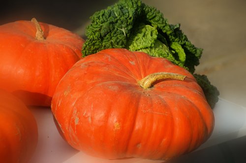 pumpkin  cabbage  vegetables