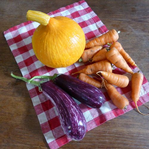 pumpkin carrots eggplant