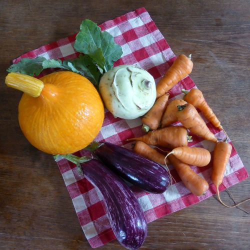 pumpkin carrots eggplant