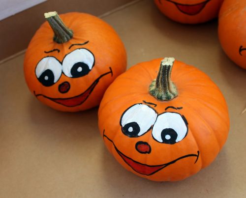 pumpkin pumpkin fruit face