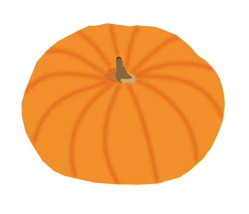 pumpkin halloween thanksgiving
