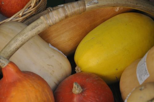 pumpkin fruit vegetables