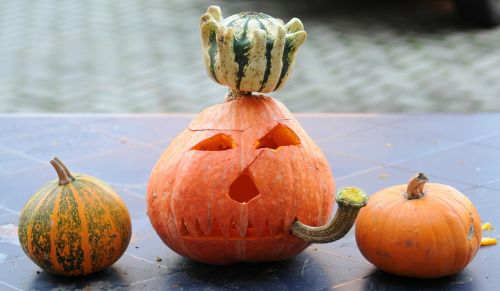 pumpkin halloween pumpkin ghost