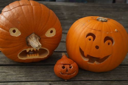 pumpkin pumpkin face halloween