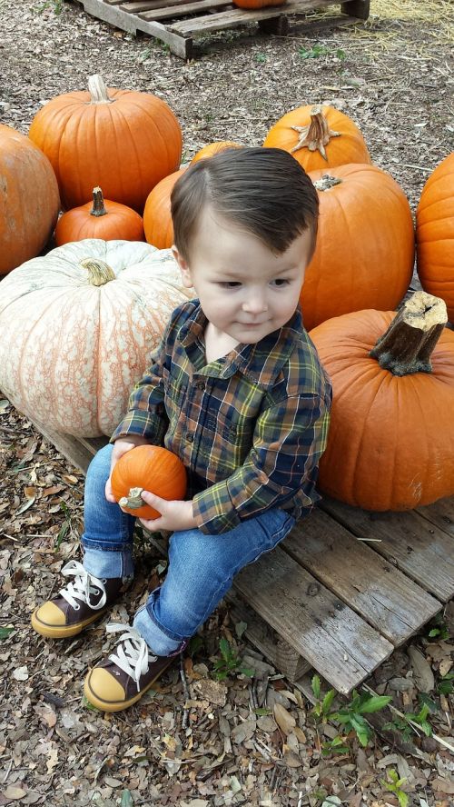 pumpkin fall boy