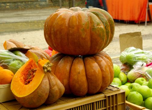pumpkin squash vegetables