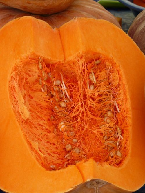 pumpkin sliced pulp