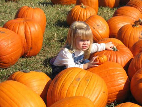 pumpkin patch halloween