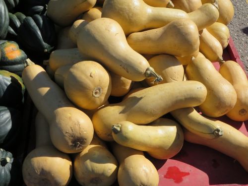 pumpkin market fruit