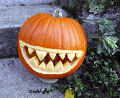 pumpkin grin grinning