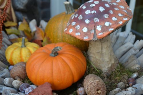 pumpkin mushroom autumn mood