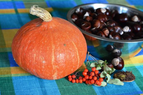 pumpkin autumn chestnuts