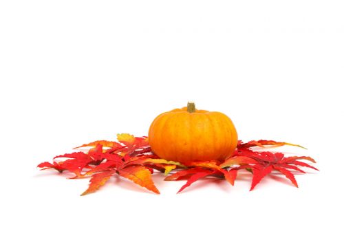 Pumpkin And Leaves