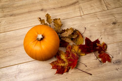 Pumpkin And Leaves