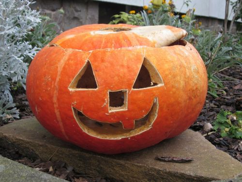 pumpkin ghost october halloween