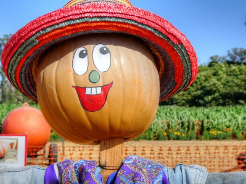 Pumpkin Head Scarecrow