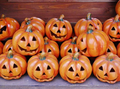 pumpkin heads halloween golden autumn