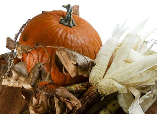 Pumpkin Still-Life