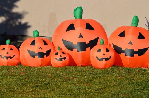 pumpkins jack-o-lantern halloween