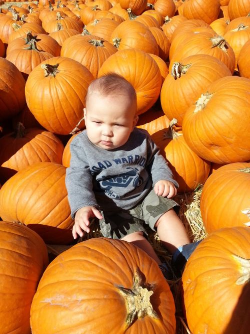 pumpkins toddler baby