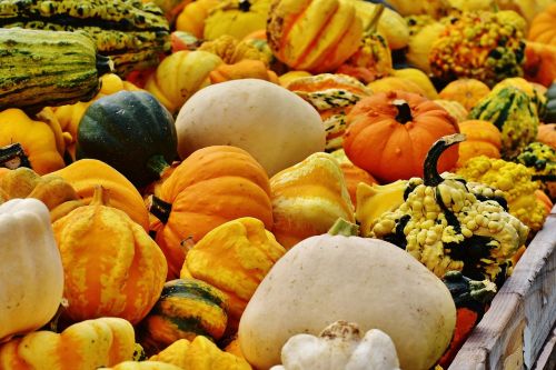 pumpkins autumn autumn decoration