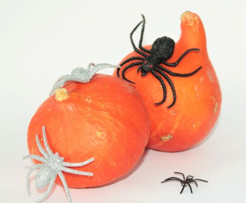 pumpkins halloween spin