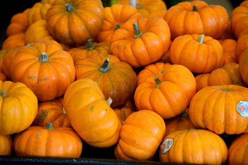 pumpkins vegetable food