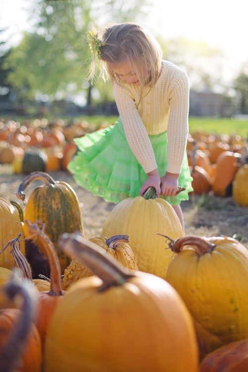 pumpkins little girl autumn