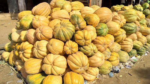 pumpkins  kano  market