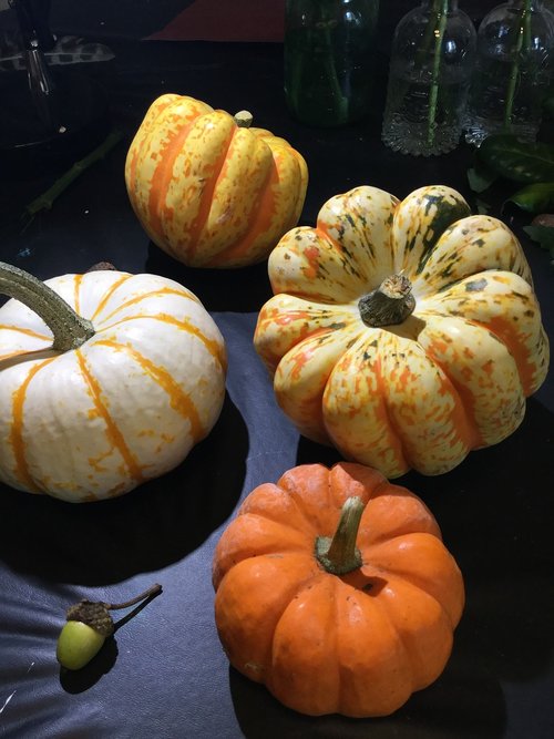 pumpkins  gourd  autumn