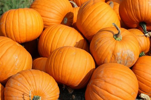 pumpkins yellow vegetables