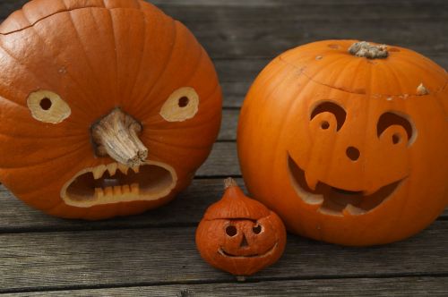 pumpkins three halloween