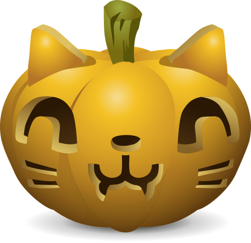 pumpkins carved cats