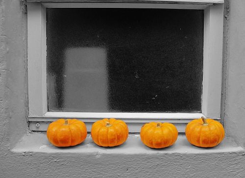 pumpkins trim window