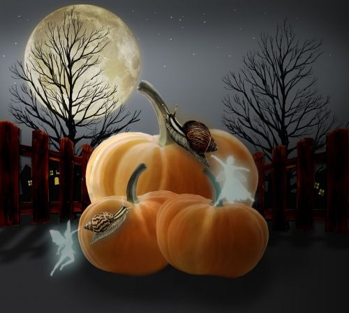 pumpkins hallowenn night