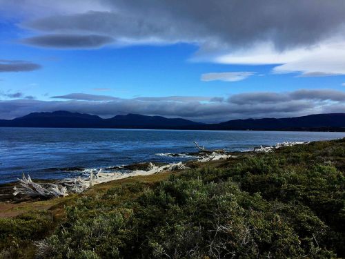 punta arenas chile beach