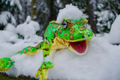 puppet snow frog