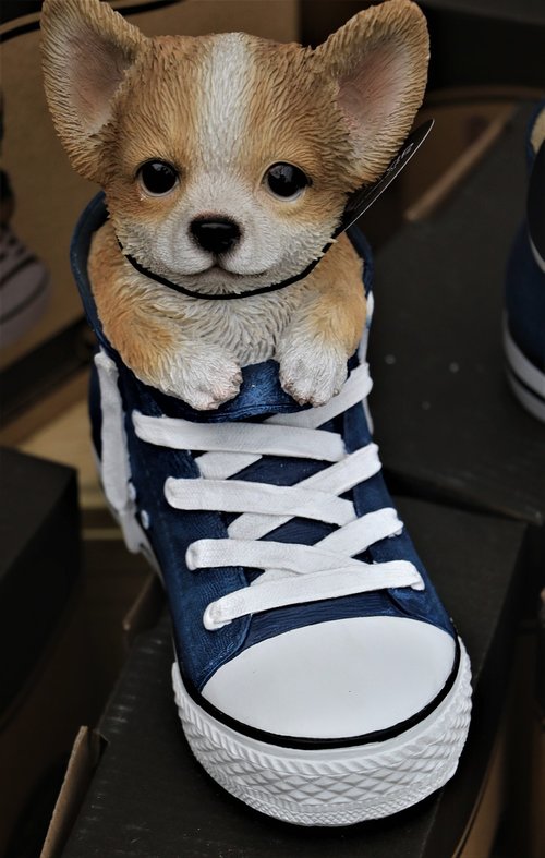 puppy  shoe  ceramic