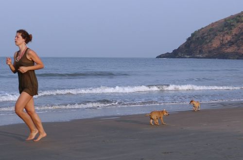 puppy beach kudle