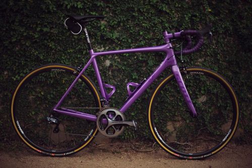 purple bike bicycle