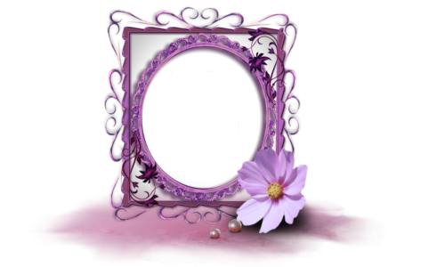 purple picture frame flower