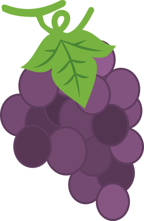 purple  purple grape  fruit
