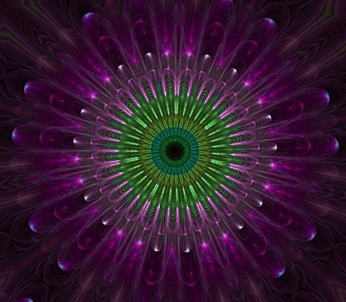purple mandala fractal