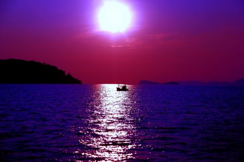 purple sea ocean