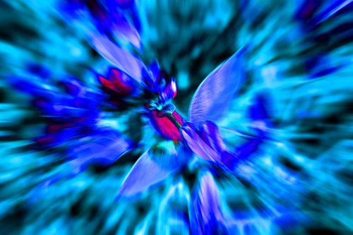 Purple And Blue Flower Effect