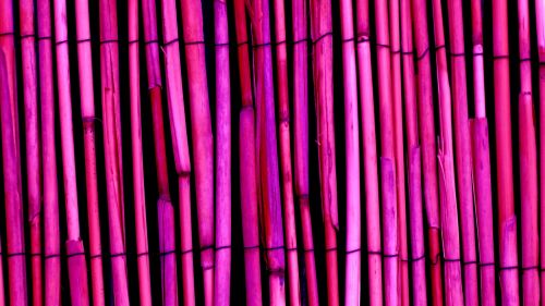 Purple Bamboo Wood Background