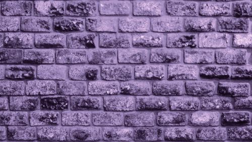 Purple Brick Wall