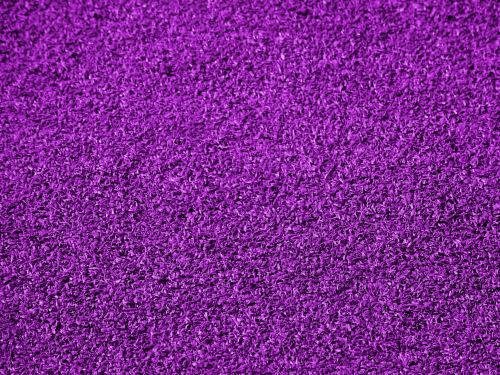 Purple Bristle Background